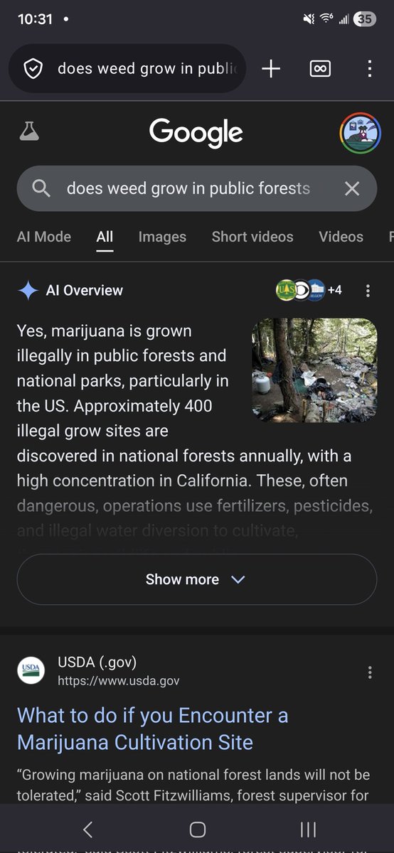 absolutely not august tweet media