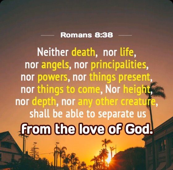 TheUnfetteredTs's tweet image. Dear God, thank You for Your eternal love. Help me stand firm and trust that Your love will never leave me. In Jesus’ name, Amen. #TheUnfetteredTruths #FaithOverFear #Prayer #BibleStudy #BibleVerse