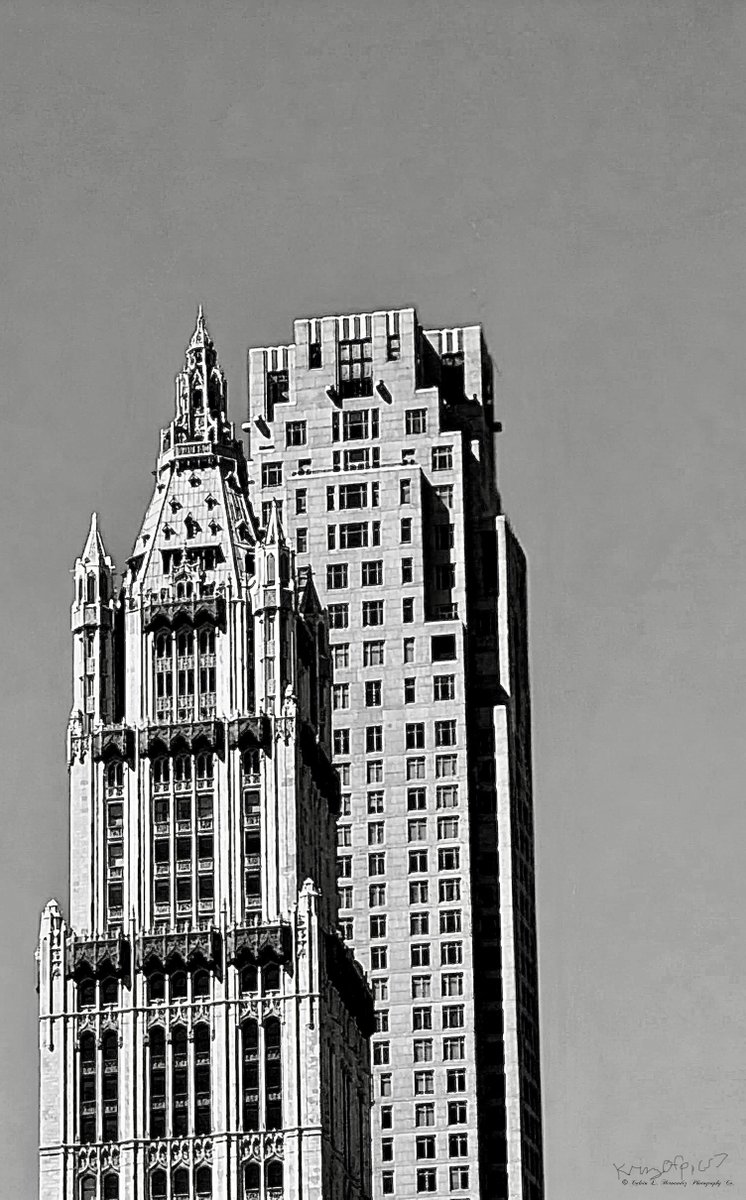 Vision_I_See's tweet photo. Architectural masterpieces 
#woolworthbuilding #OneWTC #30parkplace #architecture #blackandwhitephotography #hudsonyards https://t.co/h4637eynHc