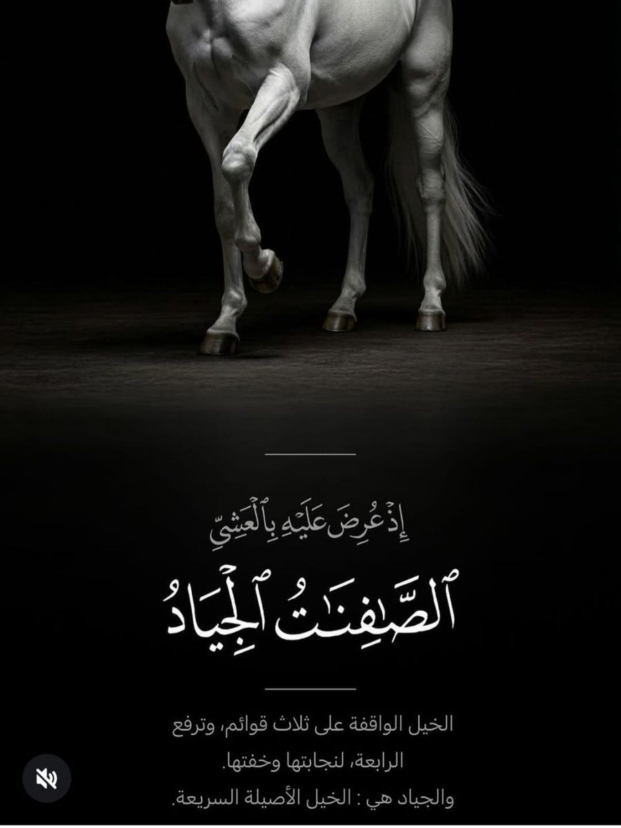 مها عبدالله الكندري. tweet media