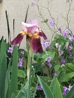 トシ　冬場の脳梗塞ご用心 tweet media