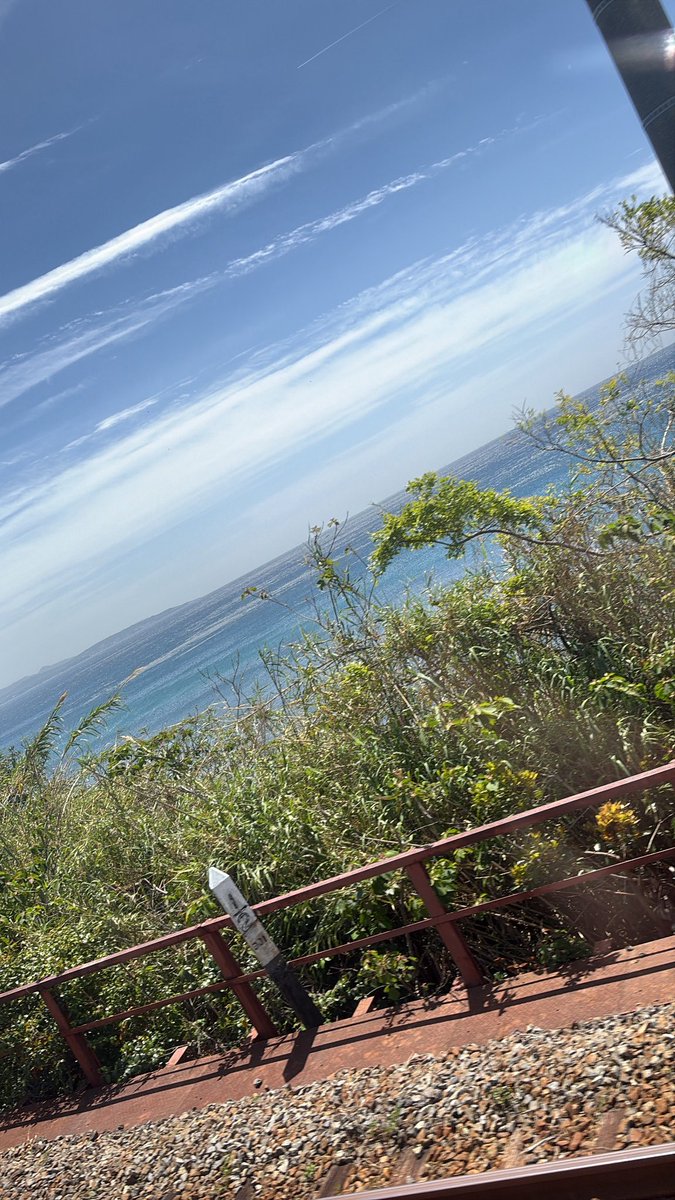 ゆあ🐻‍🫧@アル中 tweet media