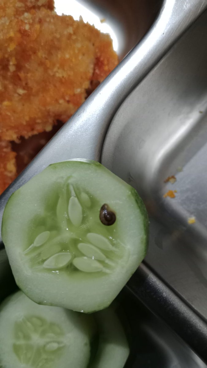 アファᥫ᭡ tweet media