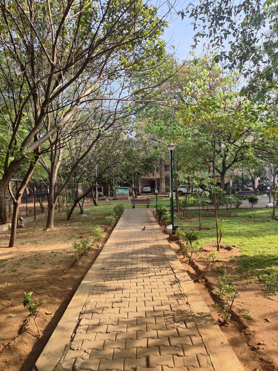 raknahs99's tweet photo. Conquered 5.20 km in 56 minutes at a steady 5 km/h pace. Burned 306.6 kcal and felt every step worth it. Slow and steady wins the race!  #RunLife #Consistency https://t.co/LfHuZT0xWt