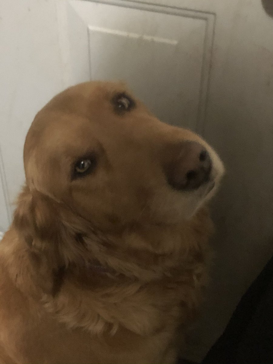 Scott Gonsior tweet media