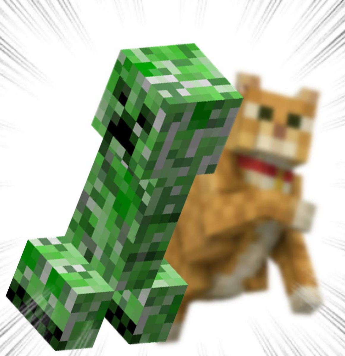 Throwing Things Daily tweet media