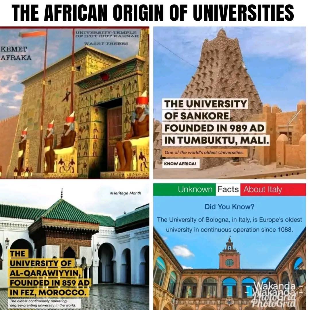 Mah Nyathi tweet media