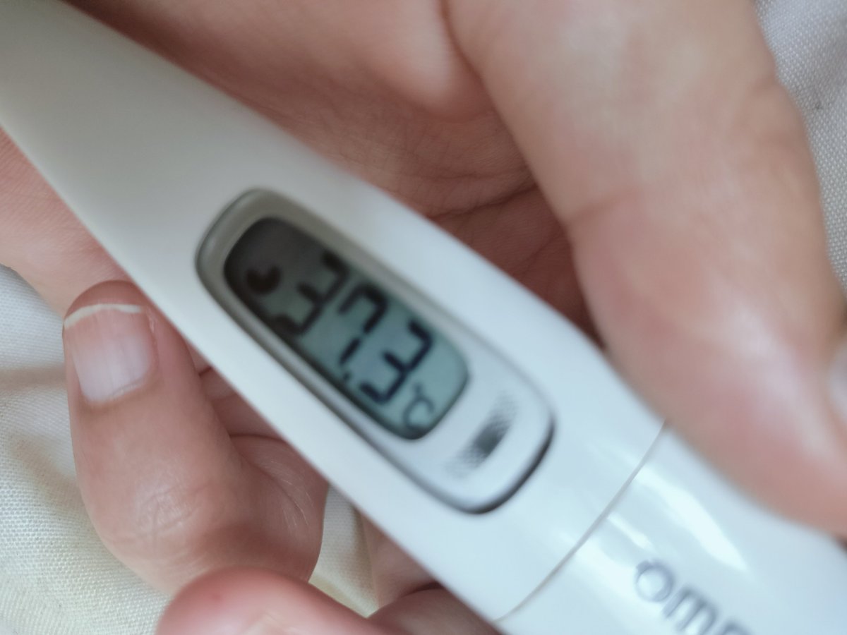 猿渡未空🔯産休中(予定日6/6)🐧 tweet media