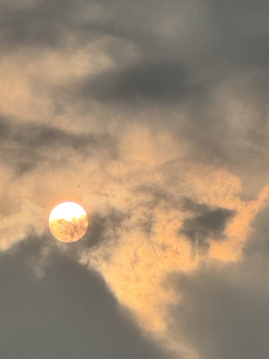 prasannasanthi's tweet image. Good Morning to you and all dear friends. Have a great Tuesday dear all. #Sunrise sky view was awesome today . View Peahen on Top in 4 th one trying to catch the Sun 🌞