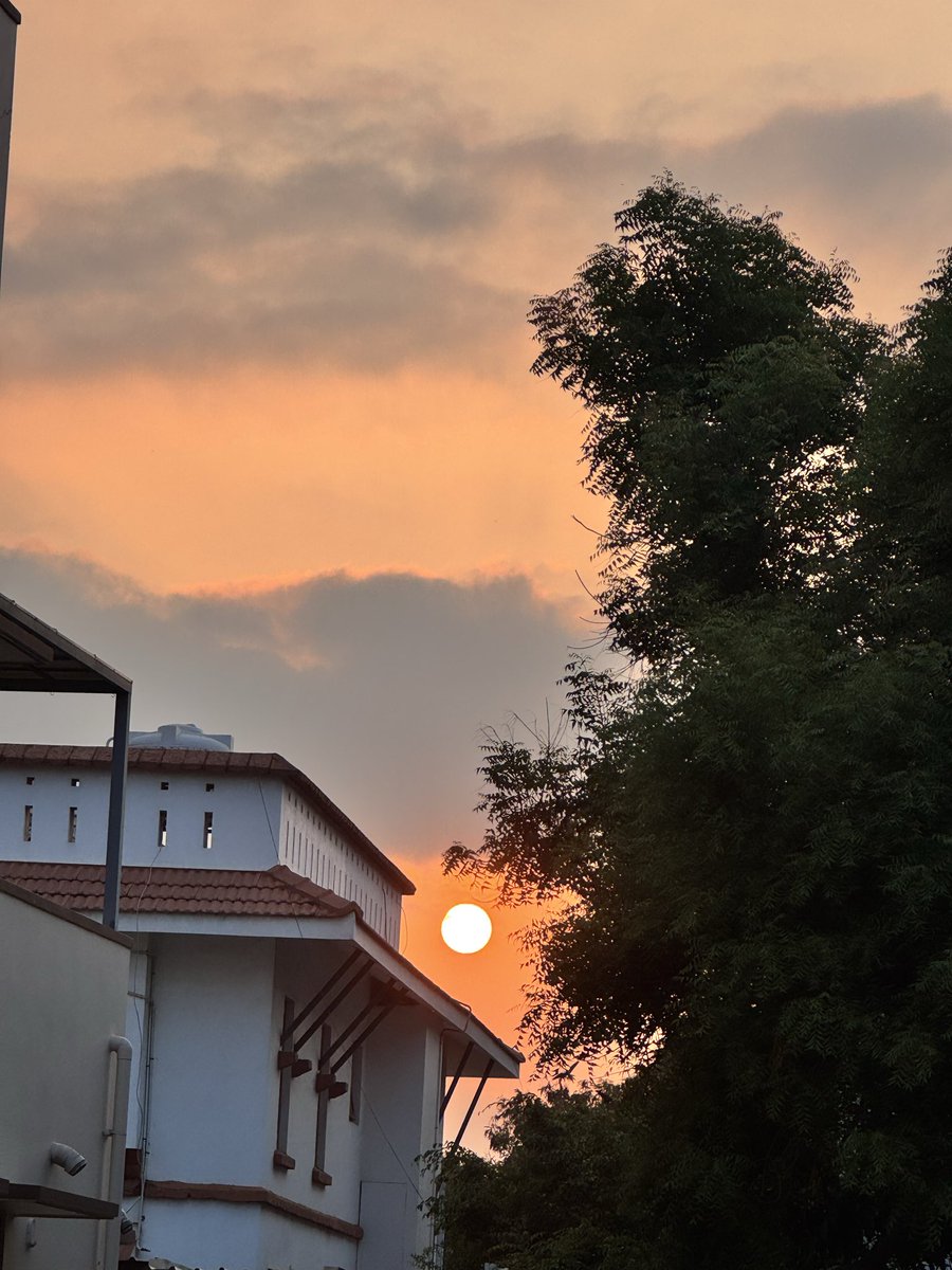 prasannasanthi's tweet image. Good Morning to you and all dear friends. Have a great Tuesday dear all. #Sunrise sky view was awesome today . View Peahen on Top in 4 th one trying to catch the Sun 🌞