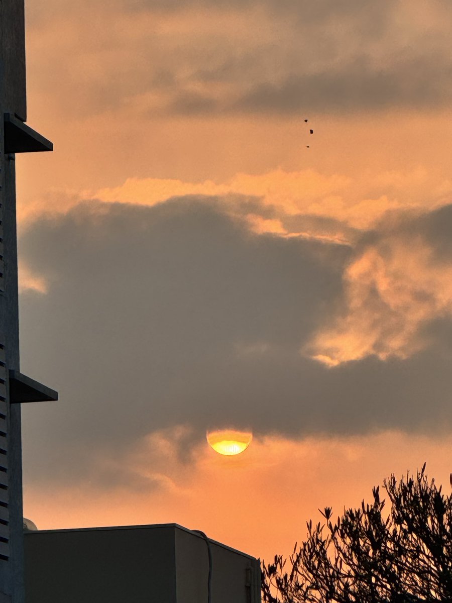 prasannasanthi's tweet image. Good Morning to you and all dear friends. Have a great Tuesday dear all. #Sunrise sky view was awesome today . View Peahen on Top in 4 th one trying to catch the Sun 🌞