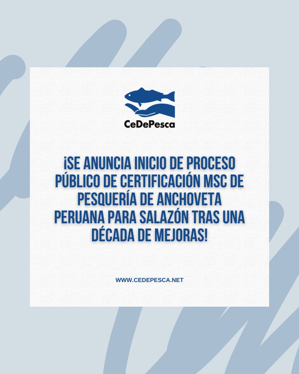 cedepesca's tweet photo. Se anunció el inicio del proceso público de certificación del @MSCecolabel  para la pesquería de 𝗮𝗻𝗰𝗵𝗼𝘃𝗲𝘁𝗮 𝗽𝗲𝗿𝘂𝗮𝗻𝗮 𝗱𝗲𝘀𝘁𝗶𝗻𝗮𝗱𝗮 𝗮𝗹 𝗰𝗼𝗻𝘀𝘂𝗺𝗼 𝗵𝘂𝗺𝗮𝗻𝗼 𝗱𝗶𝗿𝗲𝗰𝘁𝗼 (𝘀𝗮𝗹𝗮𝘇𝗼́𝗻), marcando un hito tras más de una década de trabajo y mejoras https://t.co/r38AAzQFfq