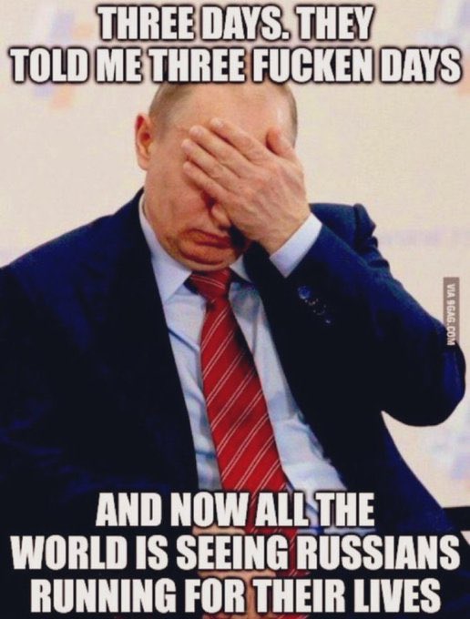 Mark Palid tweet media