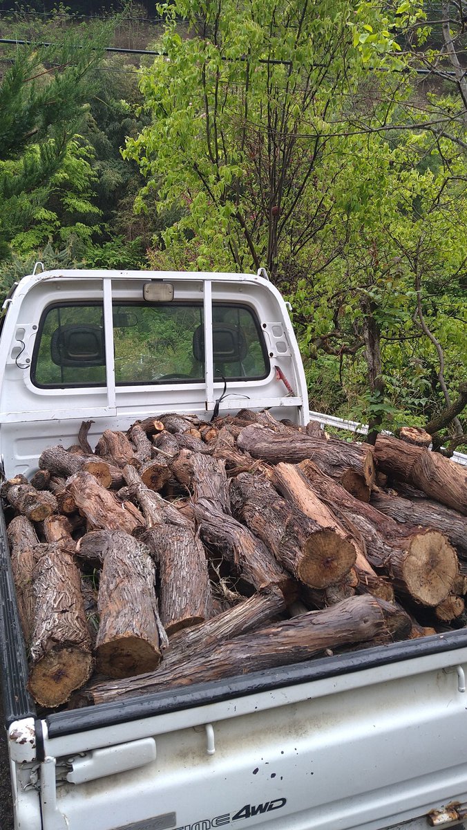cla_nyancoSGE's tweet photo. 伐採したブドウの樹を薪に使うお宅に運ぶ作業で山の中にいたので、それでottava止まったのかと思ってました😅
無事に戻って良かった
富士山ではもう農鳥が…😱
地震も含め自然の威力が怖いですが、ottavaお供にできるだけ平常心で…
#OTTAVA
#モーリーフレスカ https://t.co/Fg7SW6mDVv