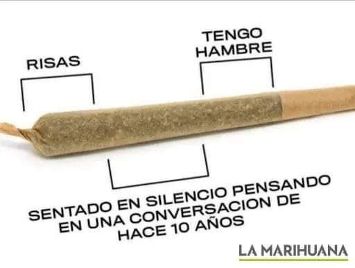 R. Pacheco tweet media