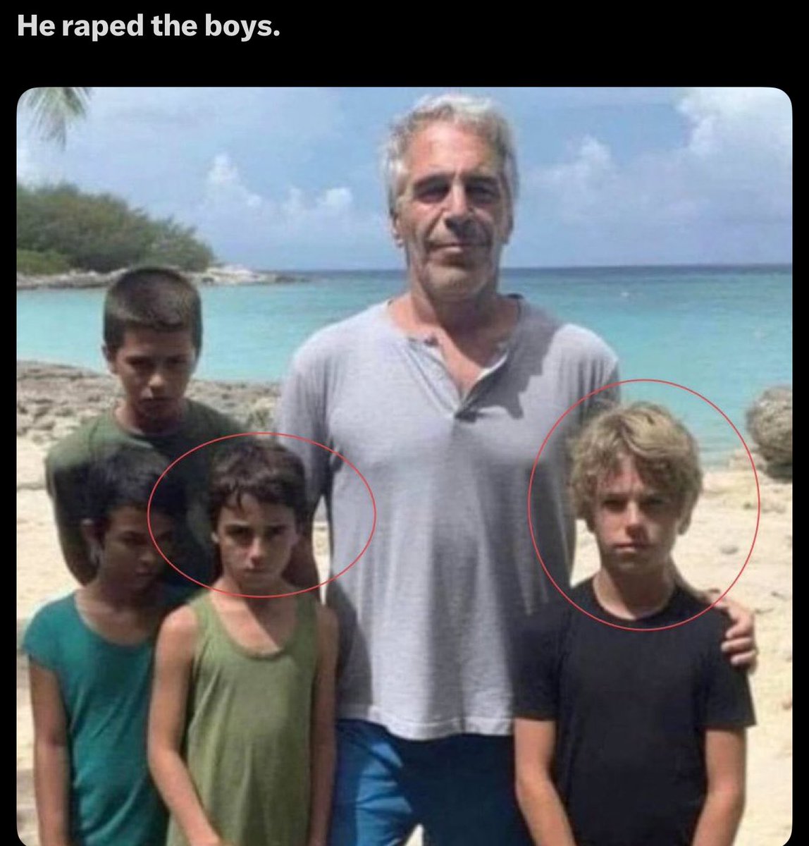 Anti Imp tweet media