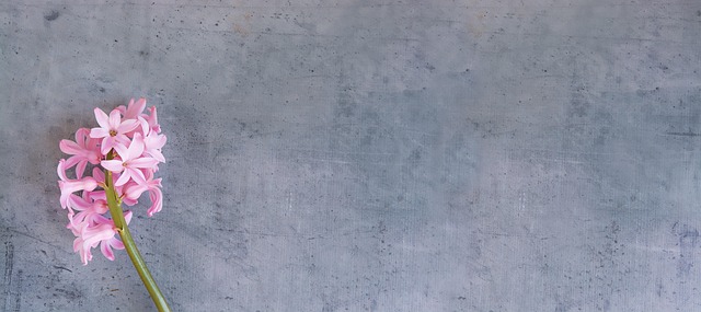 Edwin Daniels tweet media