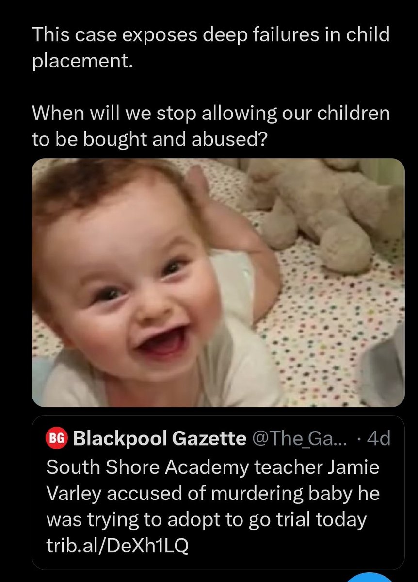 Mezzie tweet media