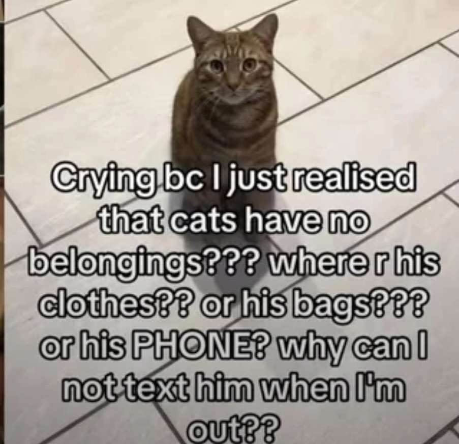 ShitpostGateway (@shitpostgate) on Twitter photo 