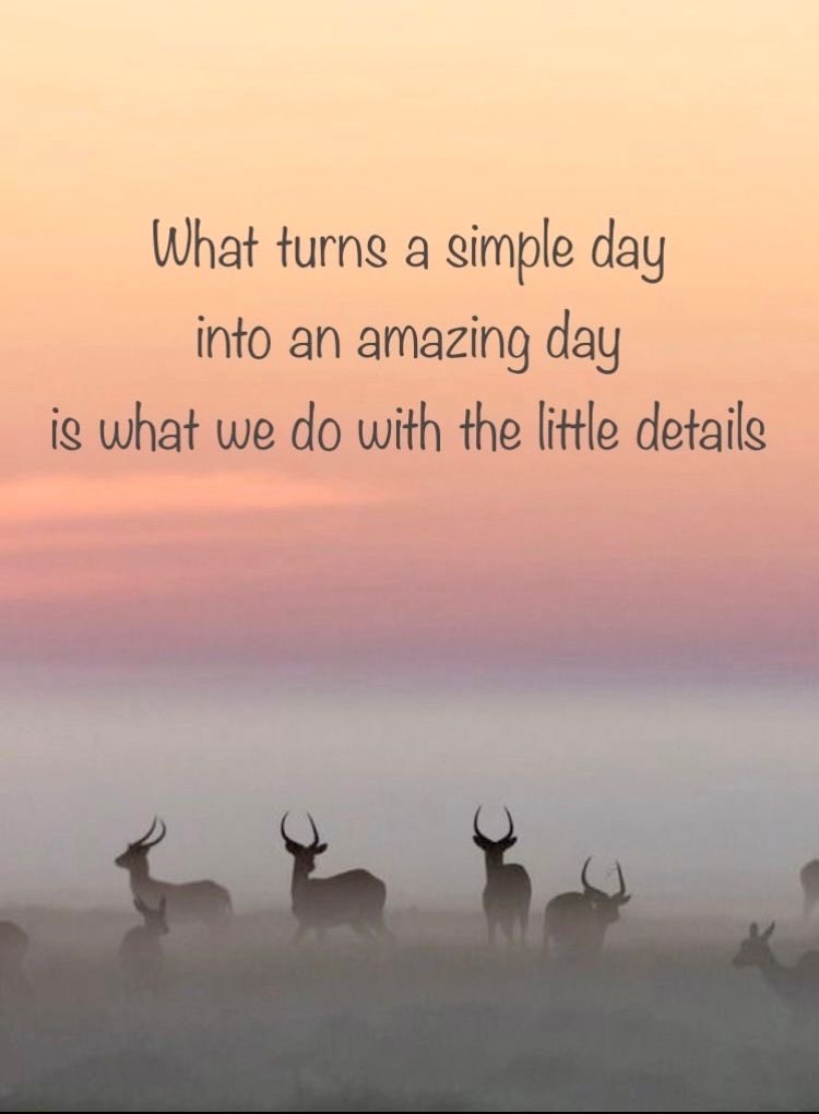 PARESH_22's tweet image. Wishing you all a wonderful Tuesday!💙💛💜🩷❤️
#MorningVibes
#TuesdayVibes
#PositiveMindset 
#BeKind 💕