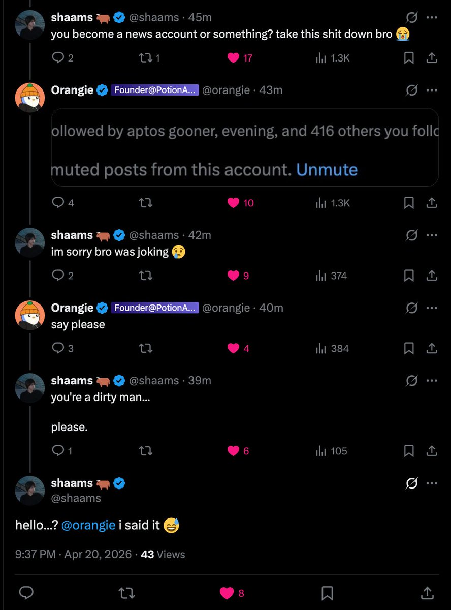 shaams 🐂 tweet media