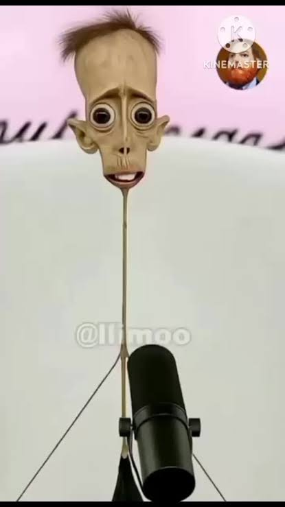 LuigiWrestling tweet media