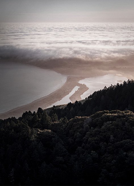 Andrew Yeung tweet media