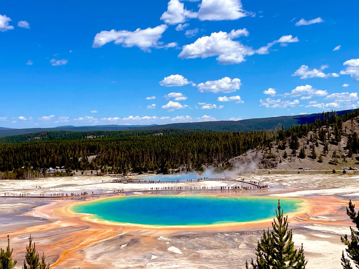 Jocaccia tweet media