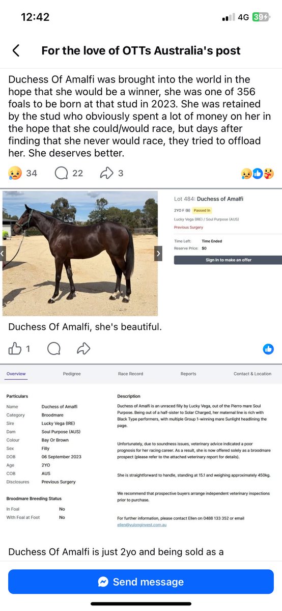 Kate L Goodrich 💭🐴♥️🇦🇺🧁 tweet media