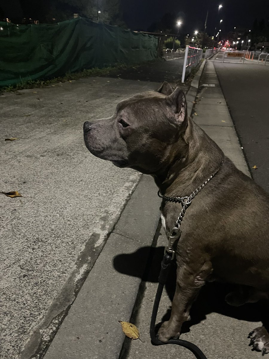 かずぅ🚴💨 tweet media