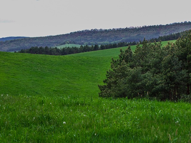 Eleanor Marsh tweet media