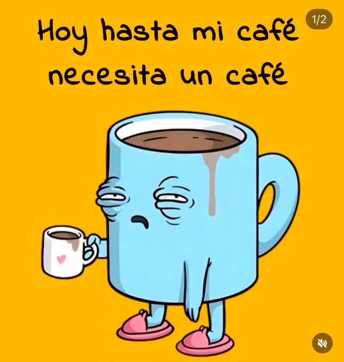 Gustavo Rosas Sosa tweet media