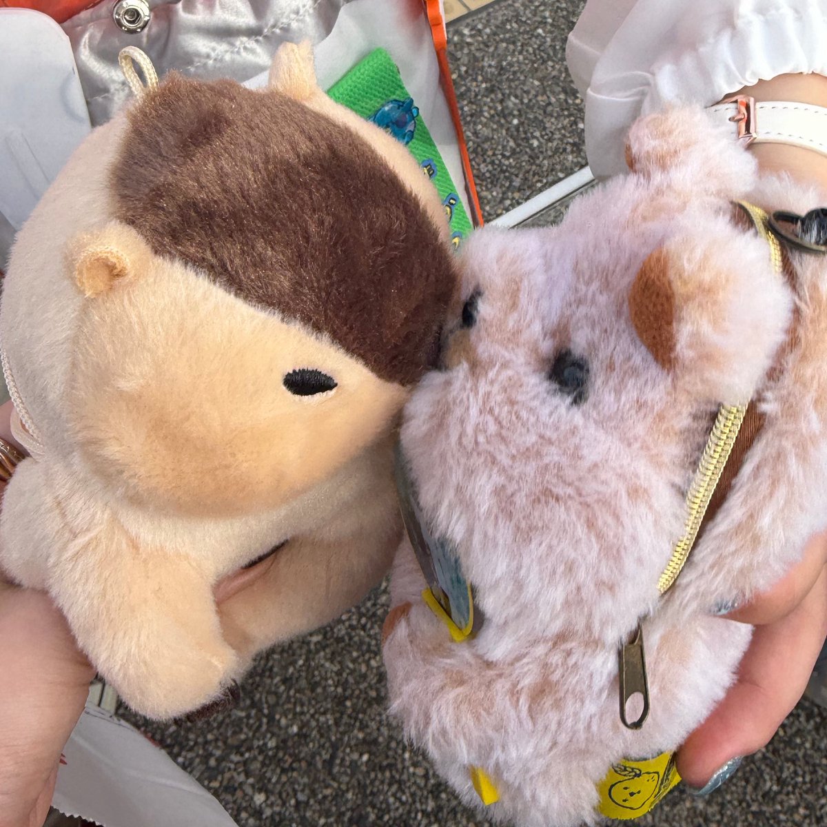 ｶﾌﾞﾁ tweet media