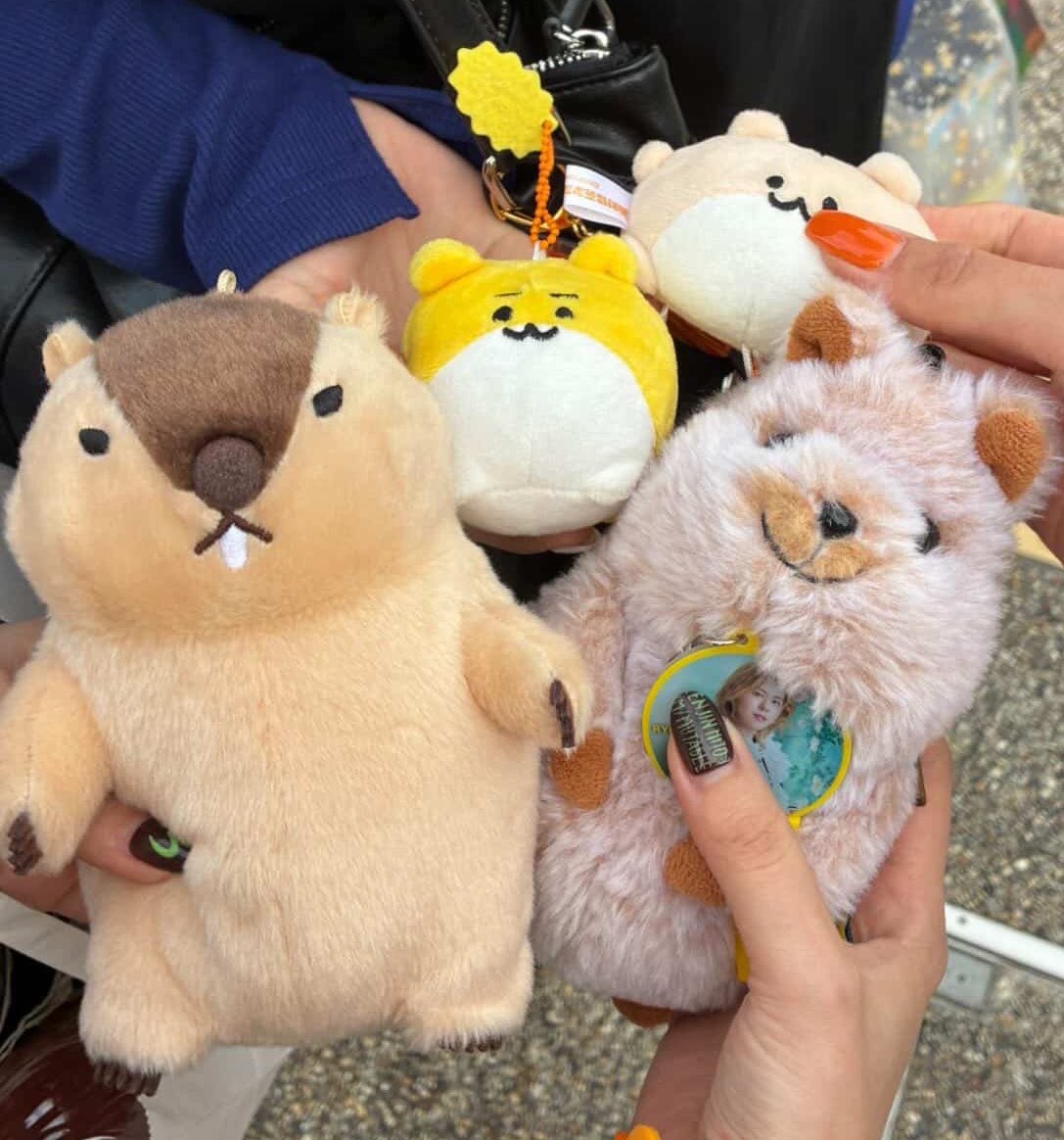 ｶﾌﾞﾁ tweet media