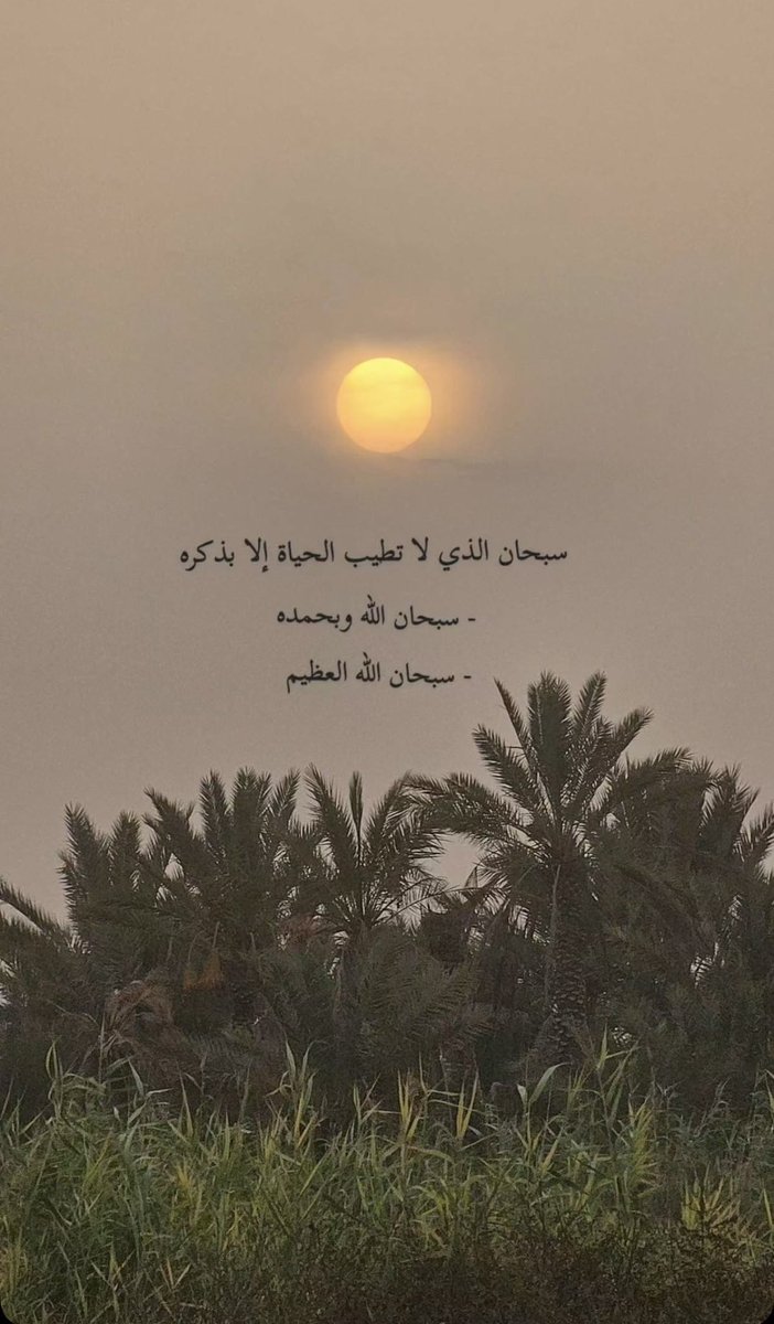 امل Amal tweet media