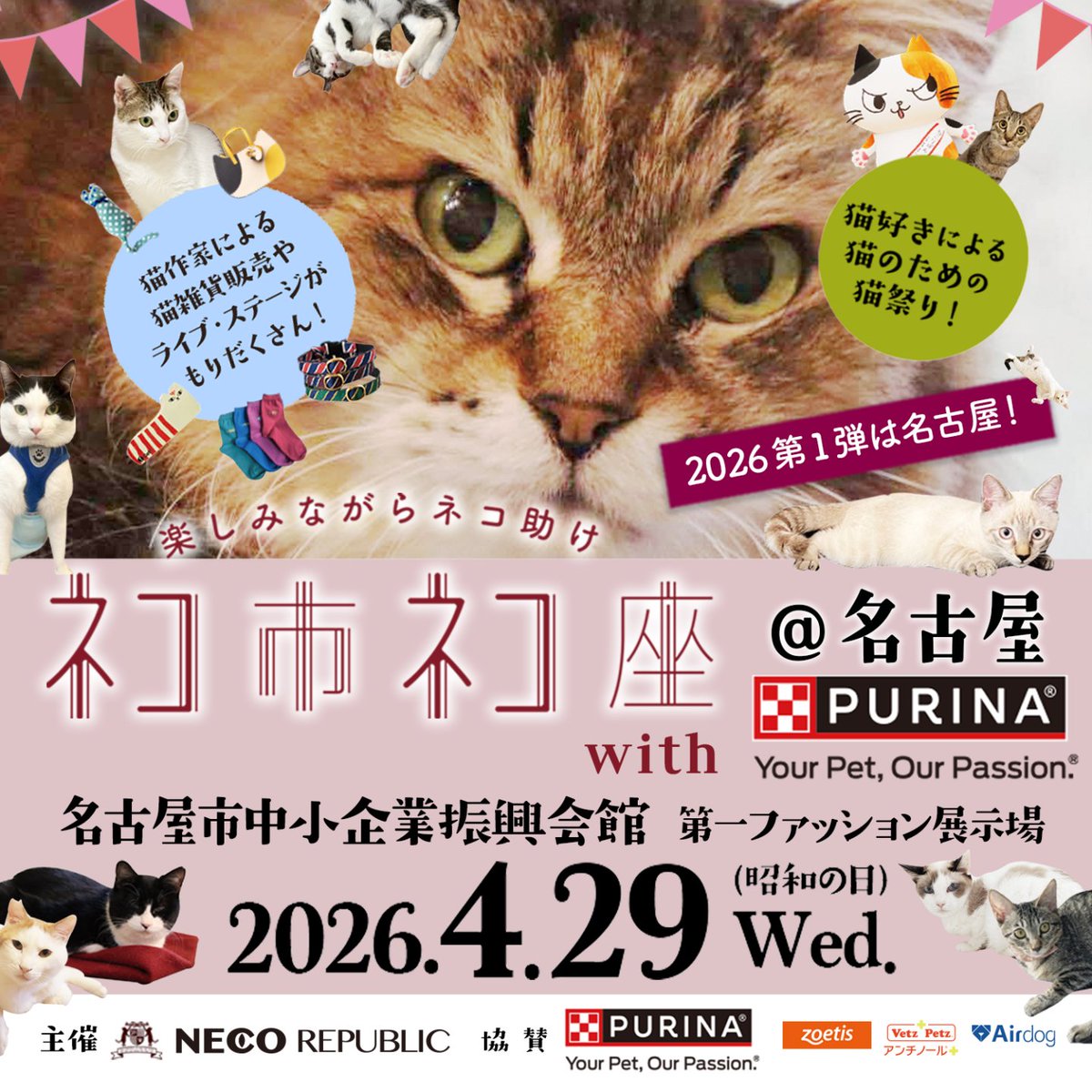 4/29（水祝）開催のネコ市ネコ座@名古屋の入場券＆優待割引券（1700円→1000円！）が数枚あります。
相互さま、作家様で欲しい方、郵送でお送りします。お1人様2枚まで～DMくださいね。
＊郵送は今週金曜日までがギリギリかと思います、欲しい場合はお早めに😊
