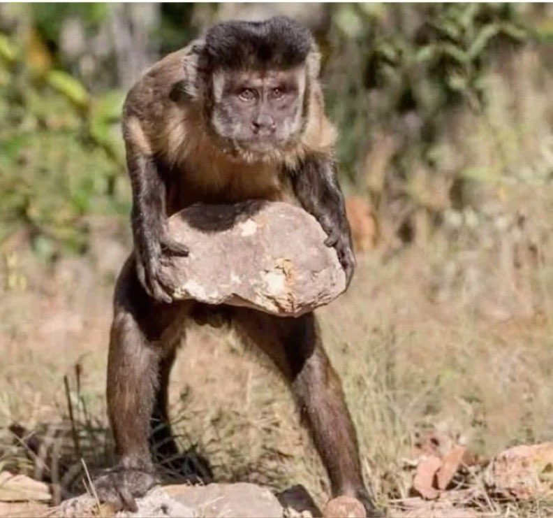 KIJANA YA CHIEF🇰🇪 tweet media