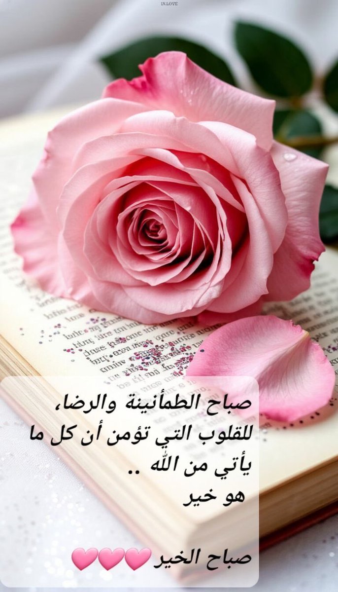 مُـــنى 💎 tweet media