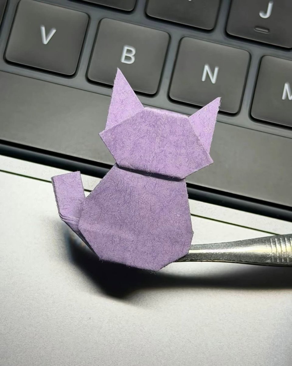 gatos fazendo gatices tweet media