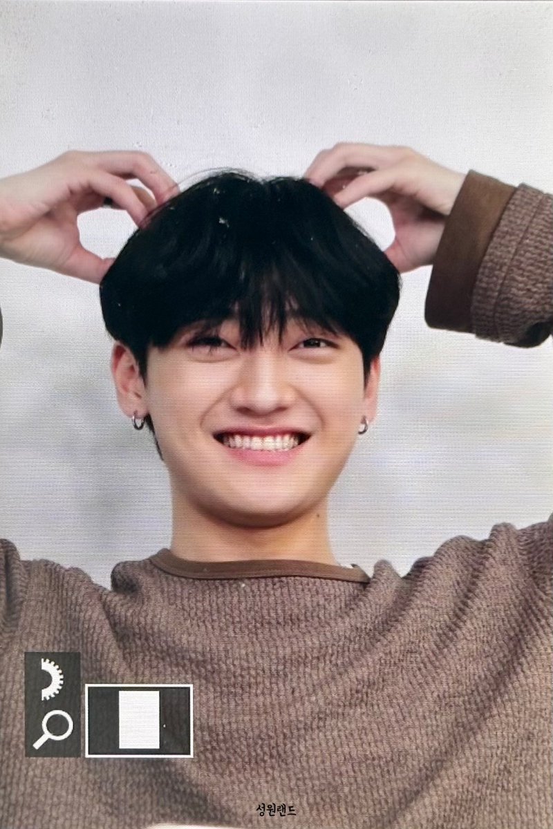 성원랜드 tweet media