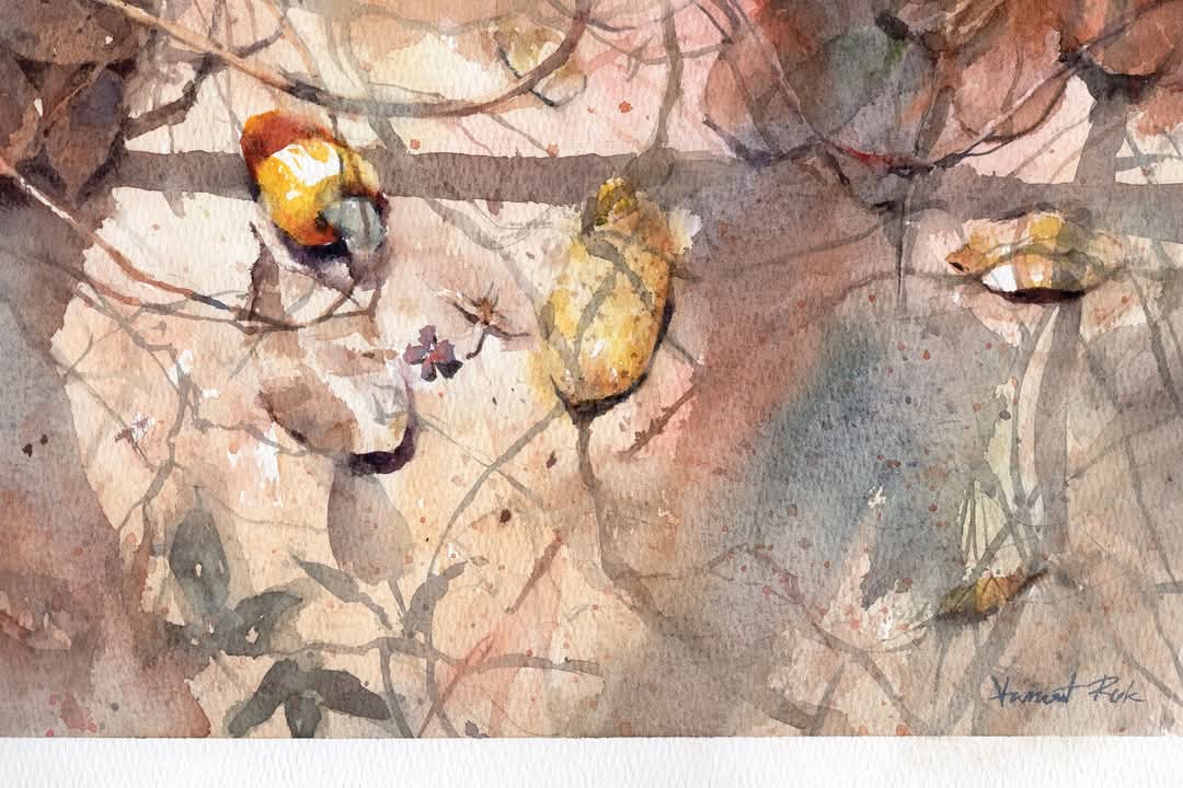 Vanont Ruk tweet media