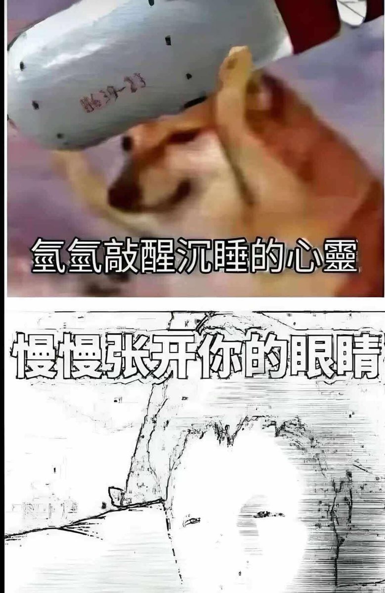 威 _妮斯 图奇100追cover bunny girl !! tweet media