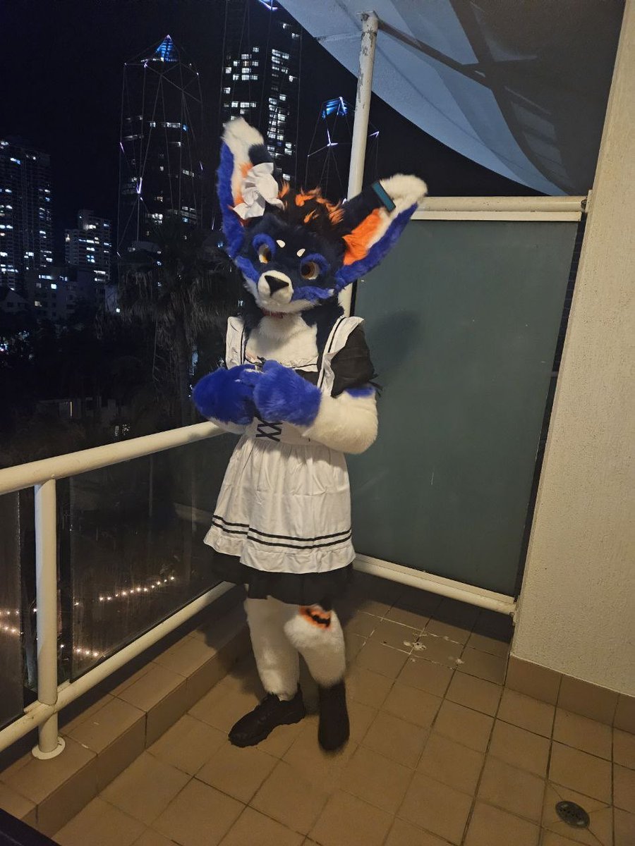 FinndeDog's tweet photo. Possibly the worst maid. I can try to be cute tho https://t.co/DVFRprzOVs