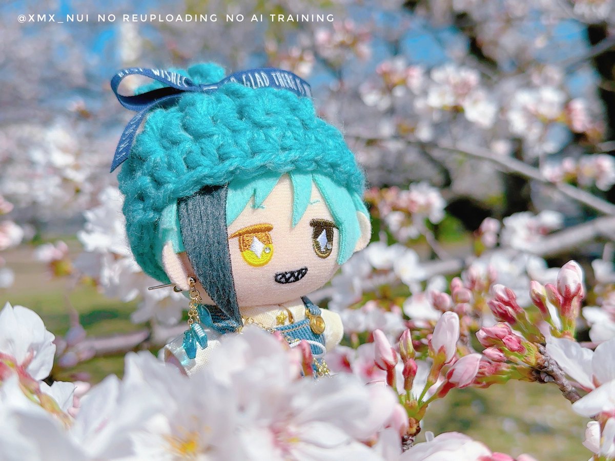 ＊繭＊ tweet media