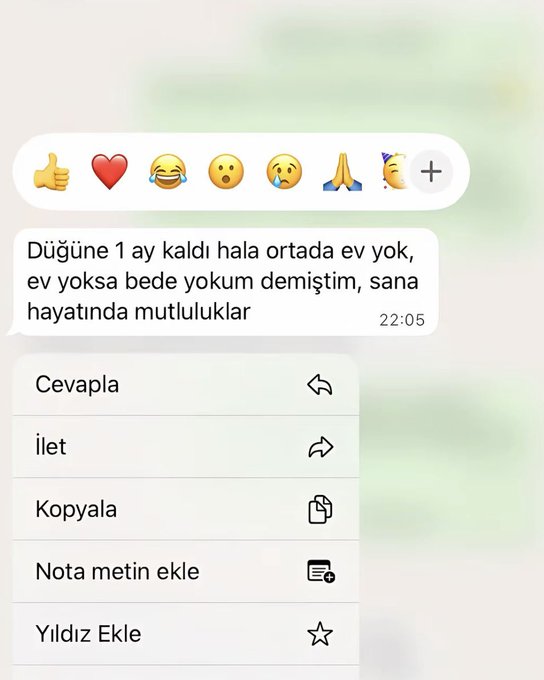 ZAM Haber tweet media