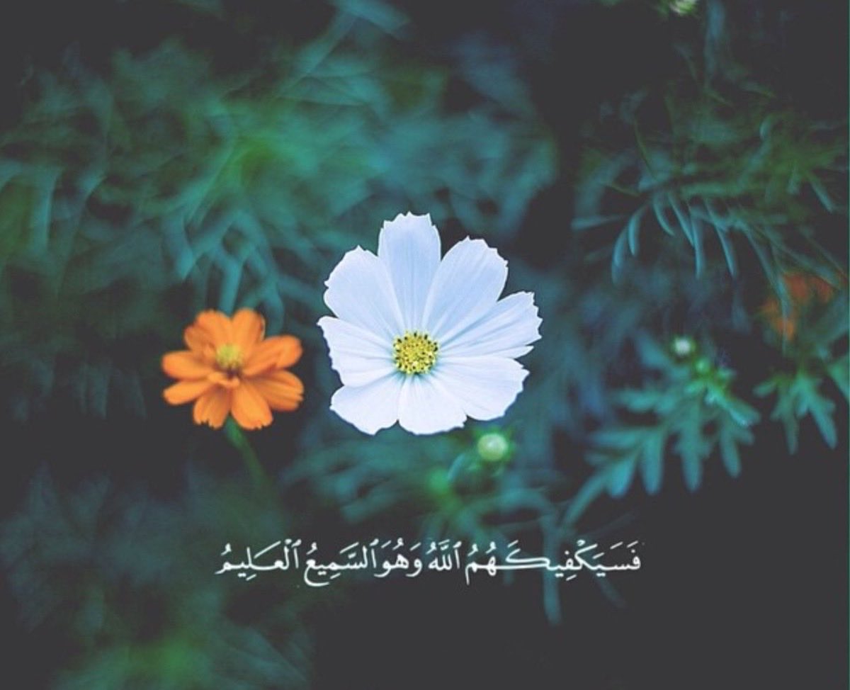 انور العلواني tweet media