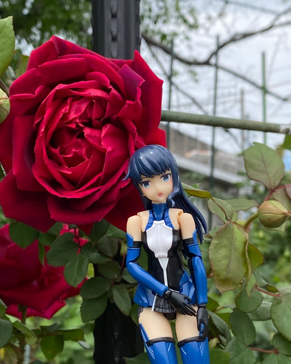 HSA隊長 tweet media