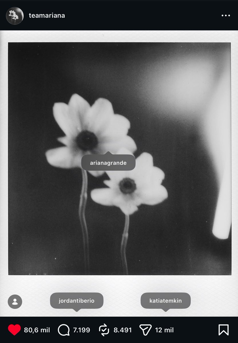 Access Ariana tweet media