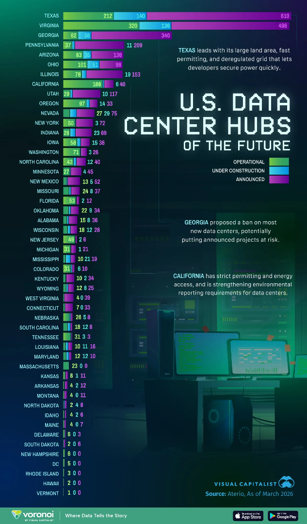 Visual Capitalist tweet media