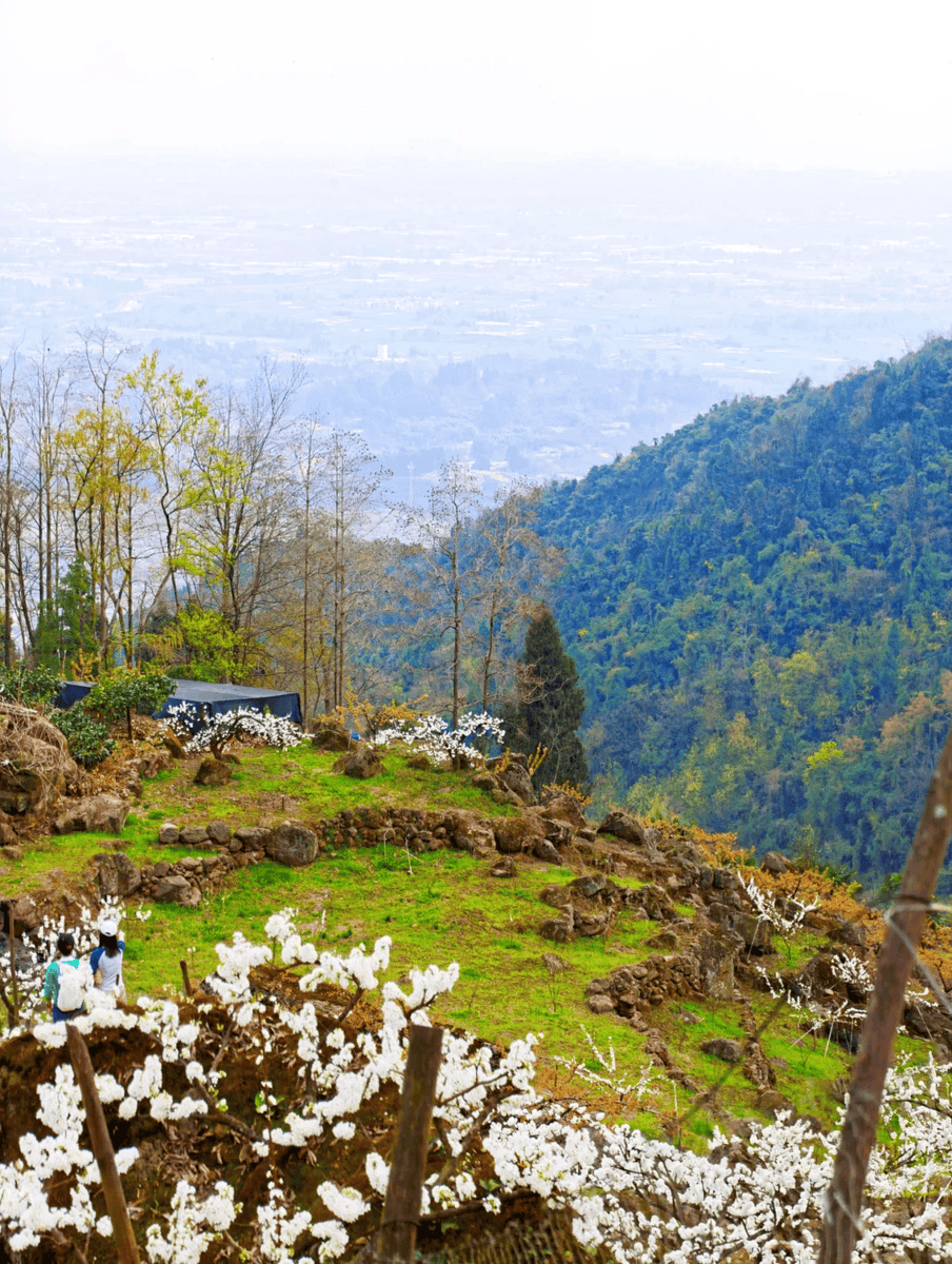 OzkanDyb's tweet image. Chasing sunsets u0026 mountain breezes—today’s hike to Valley View Overlook was pure magic. Golden light, wildflower fields, and a view that made every step worth it.  #Wanderlust #NatureLovers